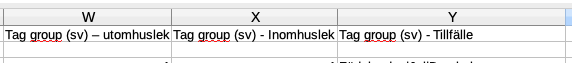 import_tag_error_double_bind_mark.png